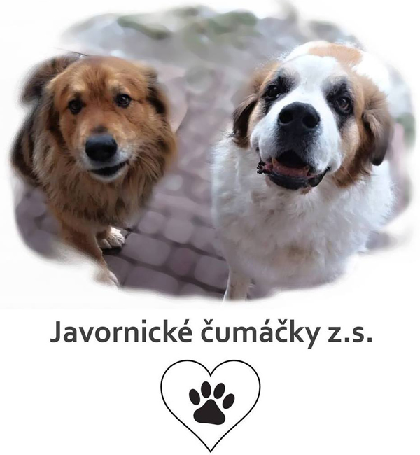 Tíživá situace v Javorníku, záchranné stanice Javornické čumáčky z.s.